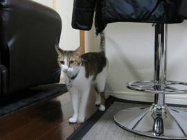 IMG04316.jpg