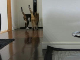 IMG04318.jpg