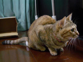 IMGP13164.jpg
