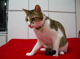 IMGP13170.jpg