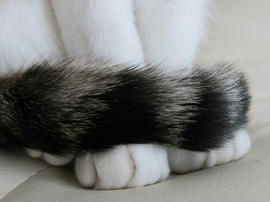 IMG04321.jpg