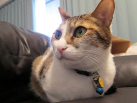 IMG01047.jpg