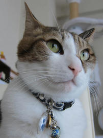 IMG04320.jpg