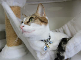 IMG04322.jpg