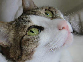 IMG04325.jpg
