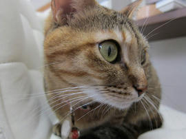 IMG04330.jpg