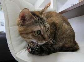 IMG04331.jpg