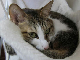 IMG04334.jpg