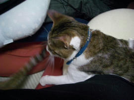 IMGP10360.jpg