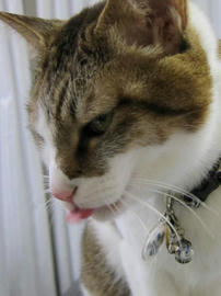 IMG04343.jpg