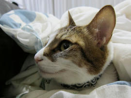 IMG04353.jpg