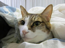 IMG04355.jpg