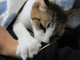 IMG04363.jpg