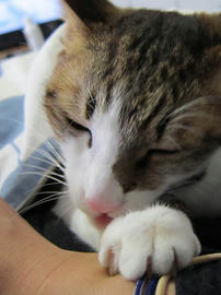 IMG04364.jpg