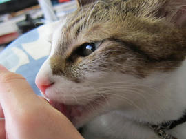 IMG04365.jpg