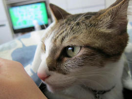 IMG04366.jpg