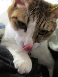 IMG04367.jpg