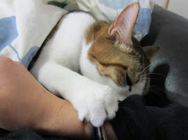 IMG04362.jpg