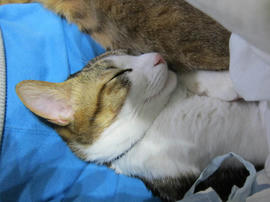 IMG04374.jpg