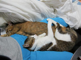 IMG04375.jpg
