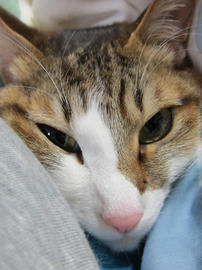 IMG04378.jpg
