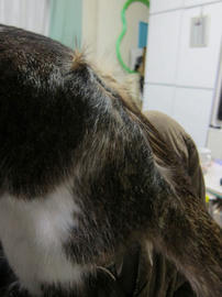 IMG04382.jpg