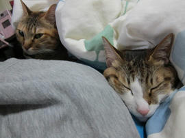 IMG04380.jpg