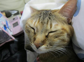 IMG04379.jpg