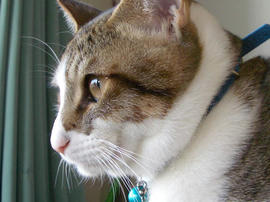 IMGP10422.jpg