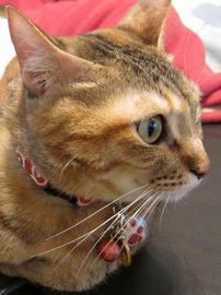 IMG01139.jpg