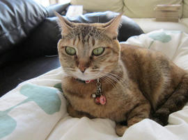 IMG04386.jpg
