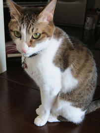 IMG04388.jpg
