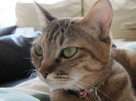 IMG04390.jpg