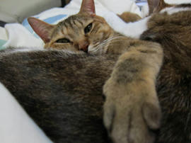 IMG04391.jpg