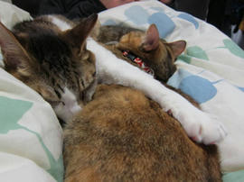 IMG04392.jpg