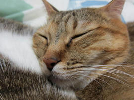 IMG04394.jpg