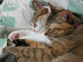 IMG04395.jpg