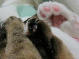 IMG04396.jpg