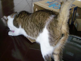 IMGP13235.jpg