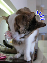 IMG04400.jpg