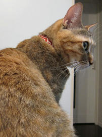 IMG01145.jpg