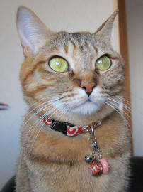 IMG04440.jpg