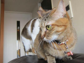 IMG04443.jpg