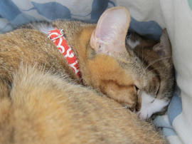 IMG04405.jpg