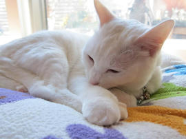 IMG04409.jpg