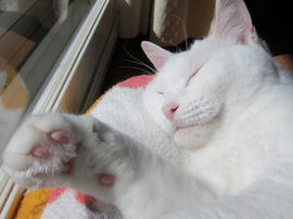 IMG04422.jpg