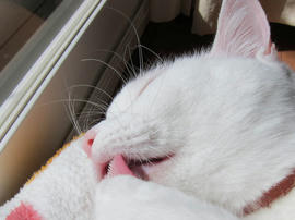 IMG04428.jpg