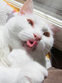 IMG04434.jpg