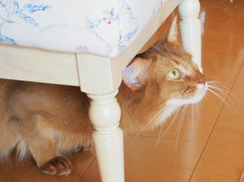 IMG04416.jpg