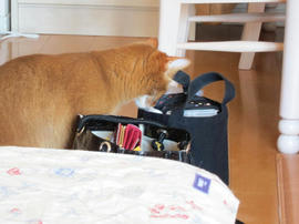 IMG04417.jpg